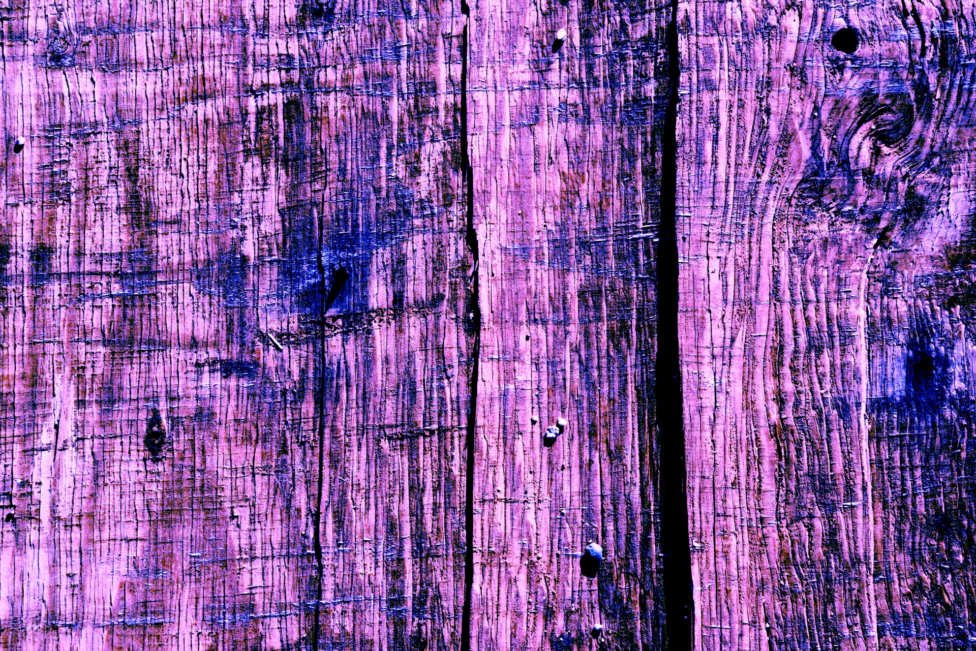 wood texture grain free photo