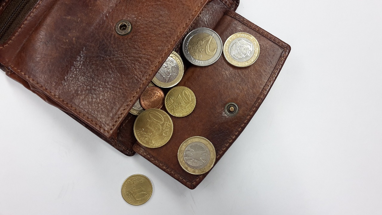purse coins money free photo