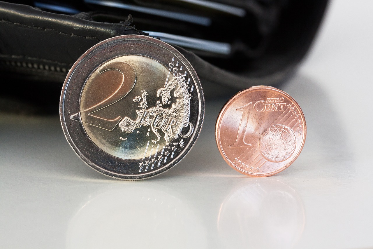 purse coins euro free photo