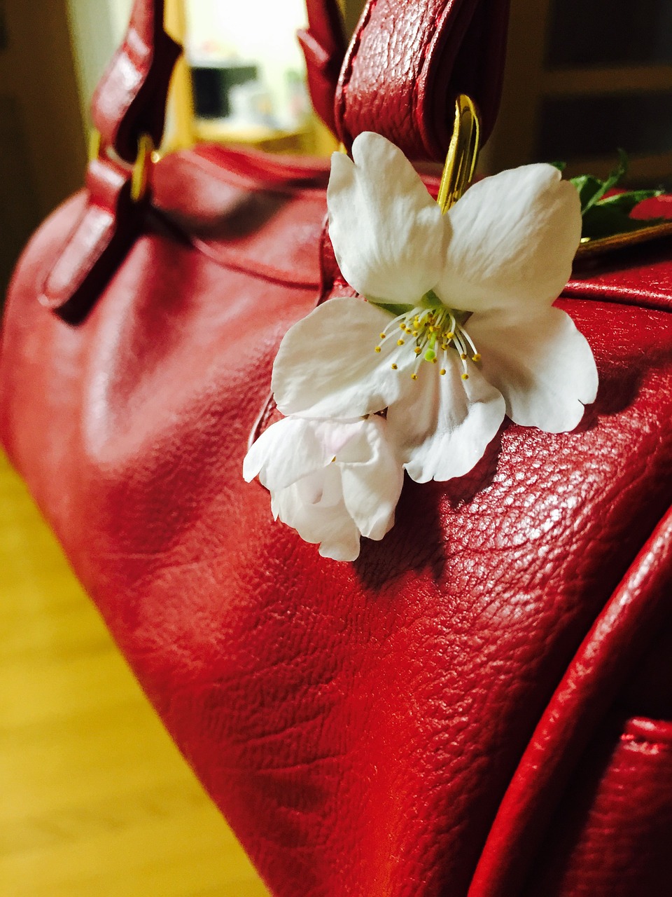 purse white flower red free photo