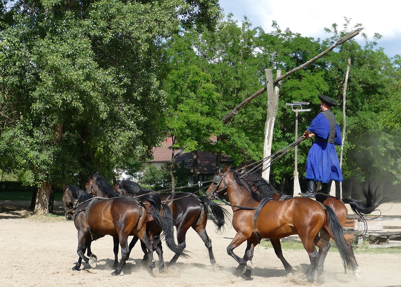 puszta hungary tourism free photo