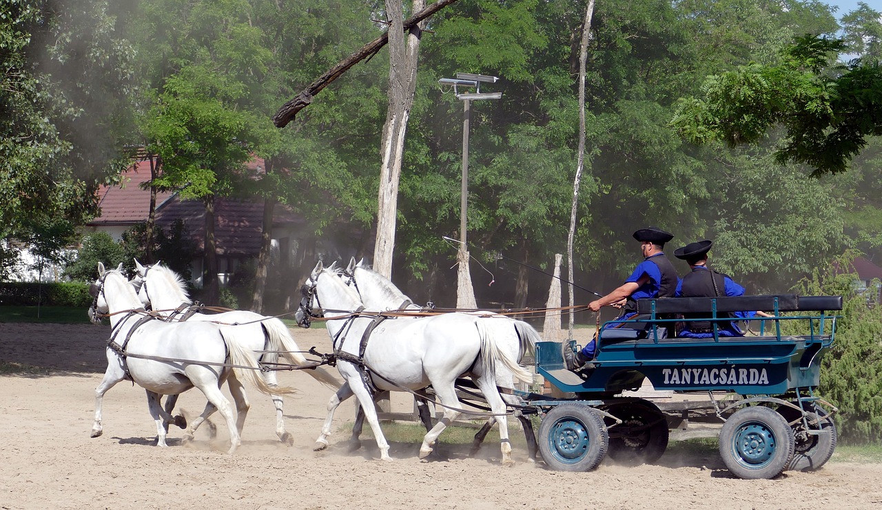 puszta hungary horse free photo