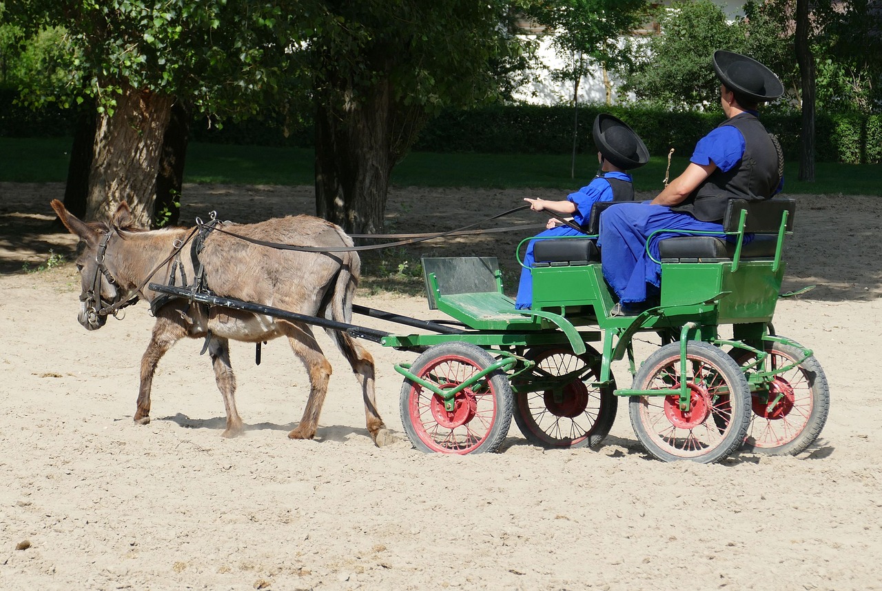 puszta hungary donkey free photo