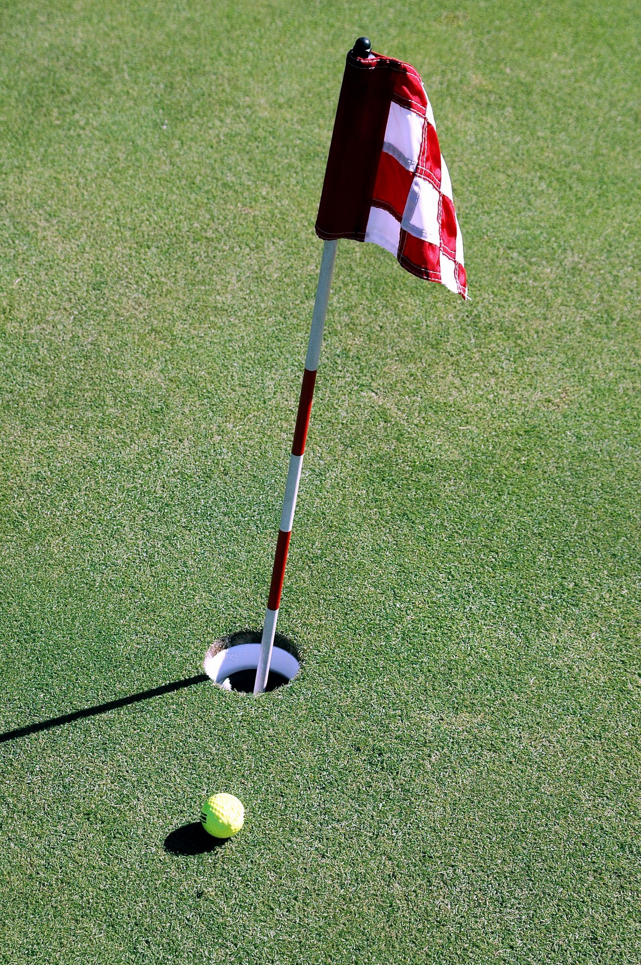 golf green flag free photo
