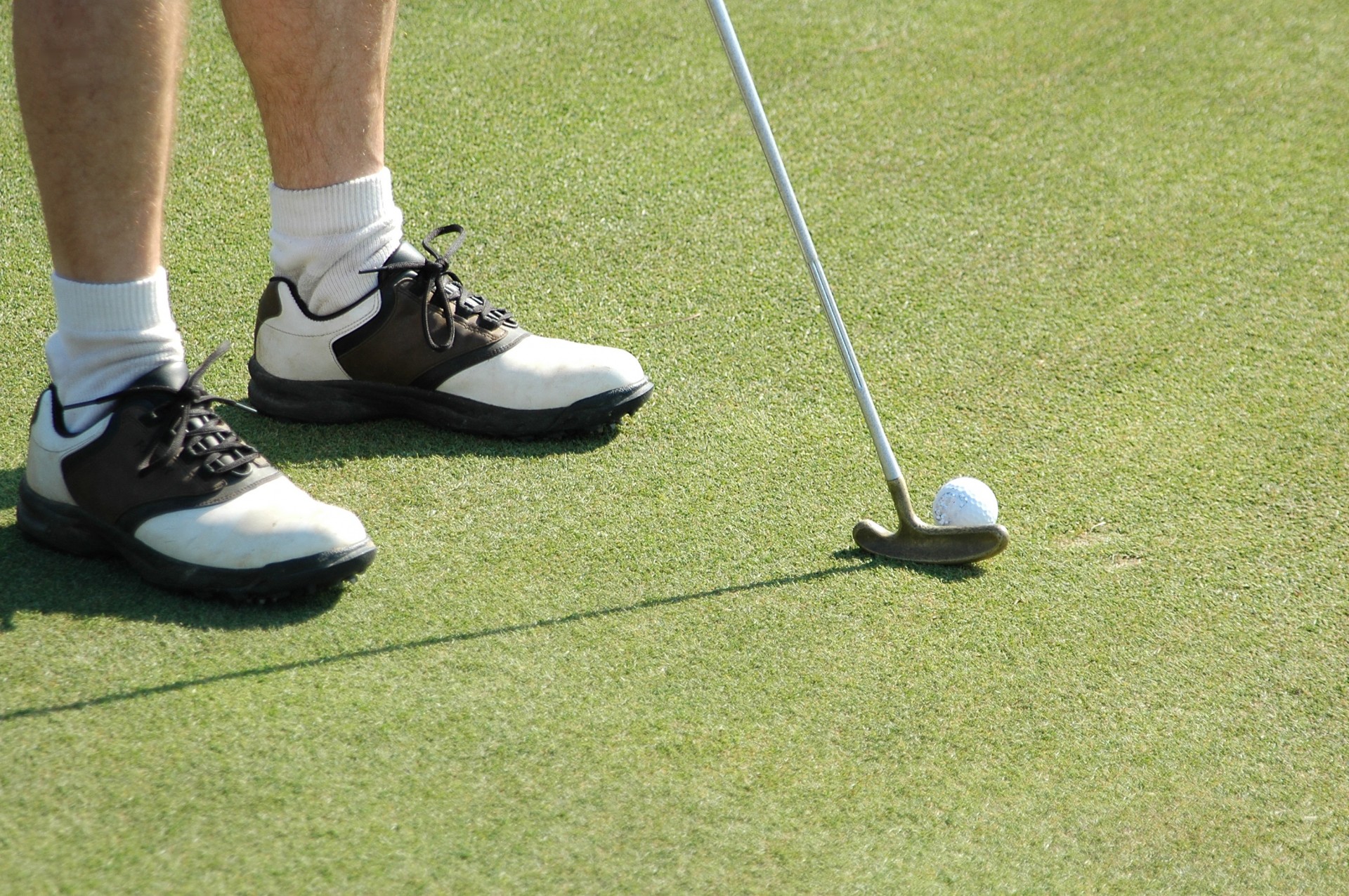 putting practice putt free photo