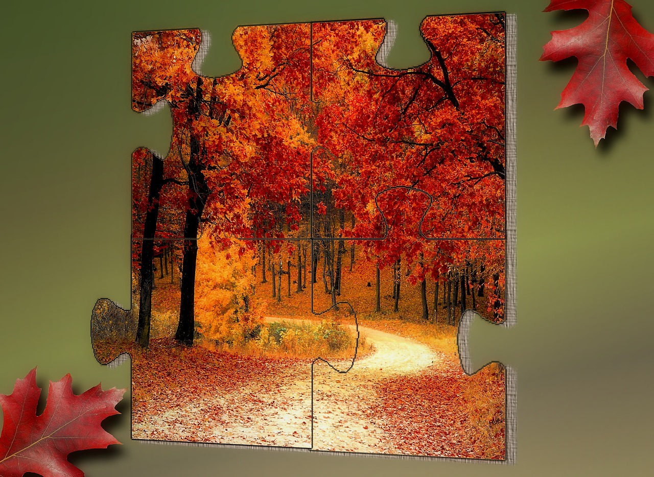 puzzle leaf puzzle piece free photo