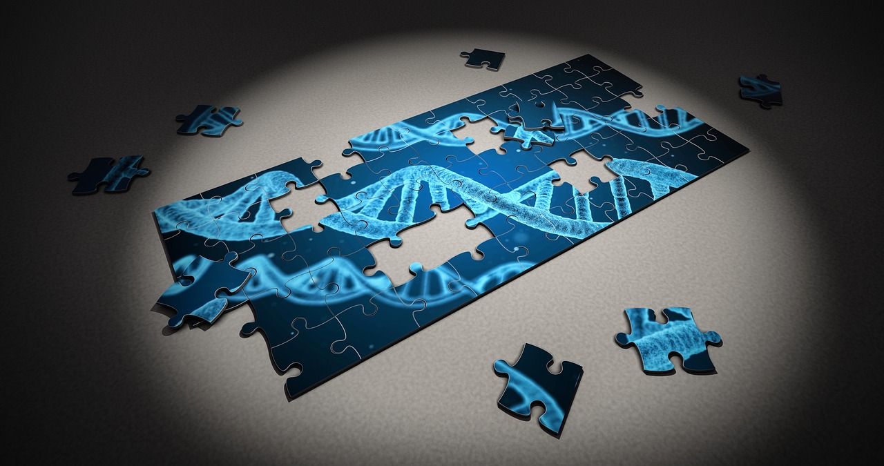 puzzle dna research free photo