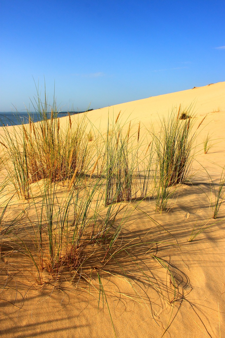 pyla dune dune sea free photo