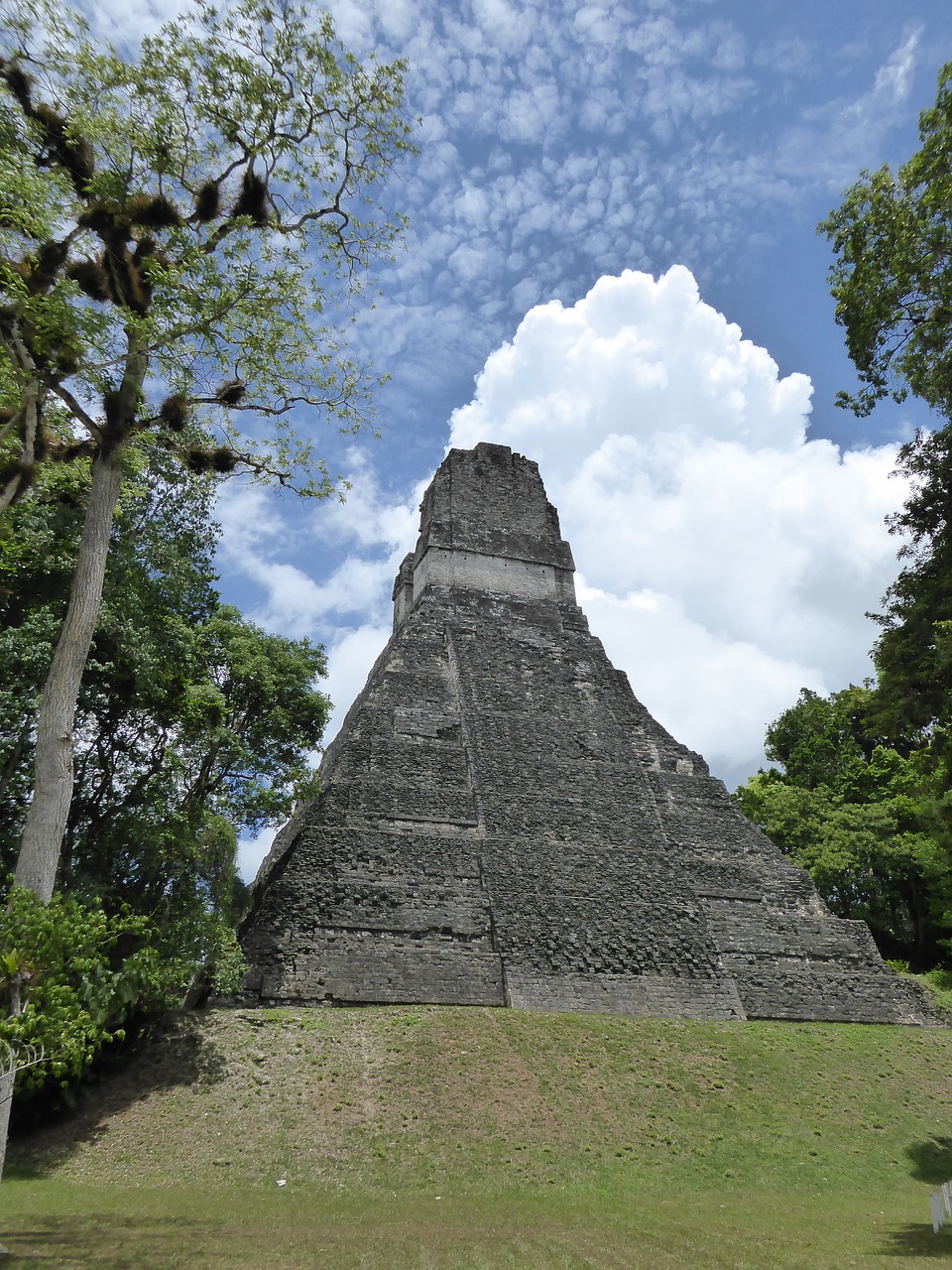 pyramid maya tikal free photo