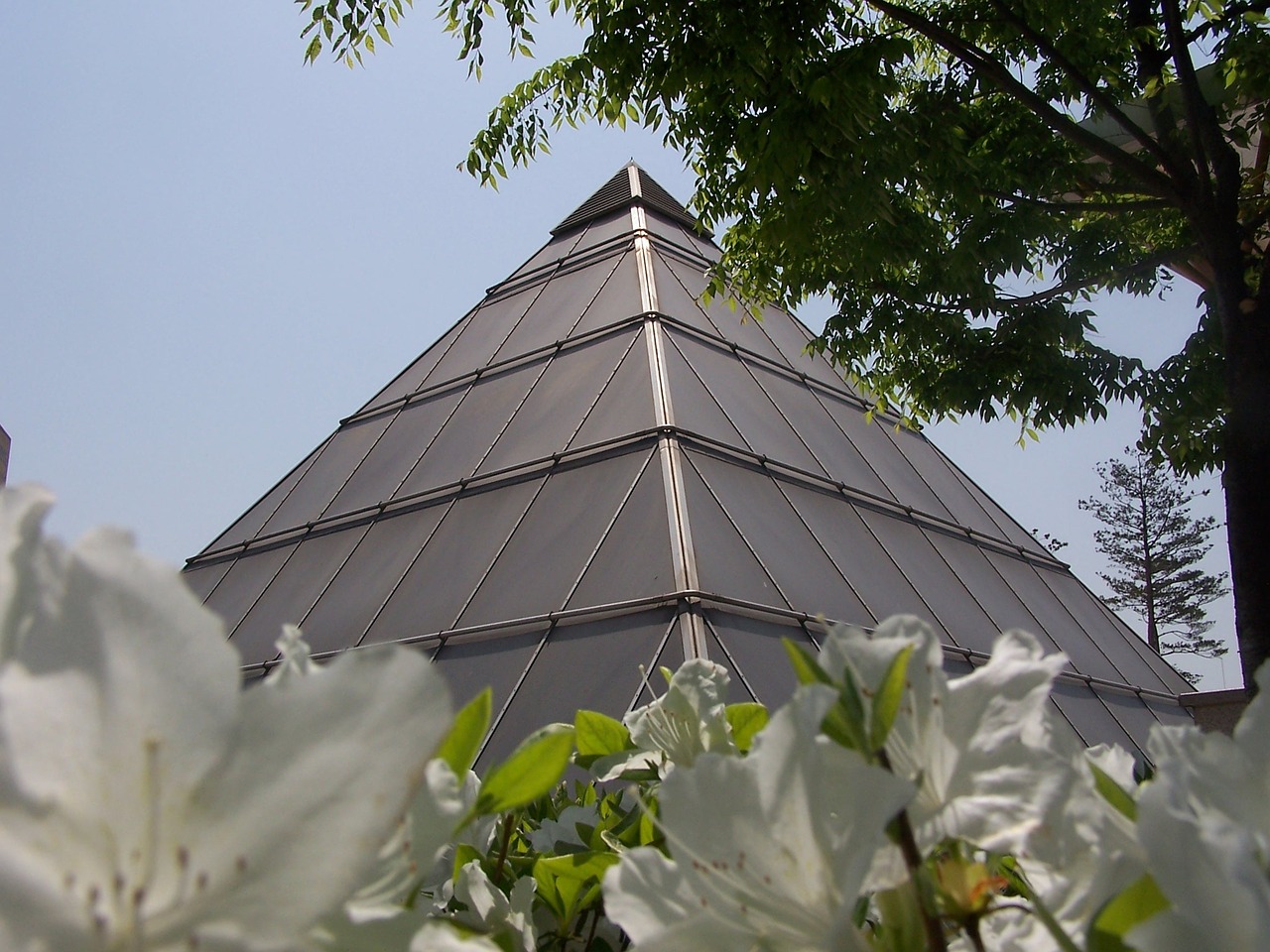 pyramid flowers architecture free photo