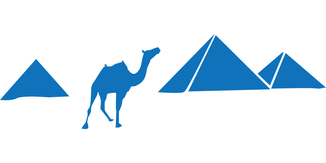 pyramids camel blue free photo