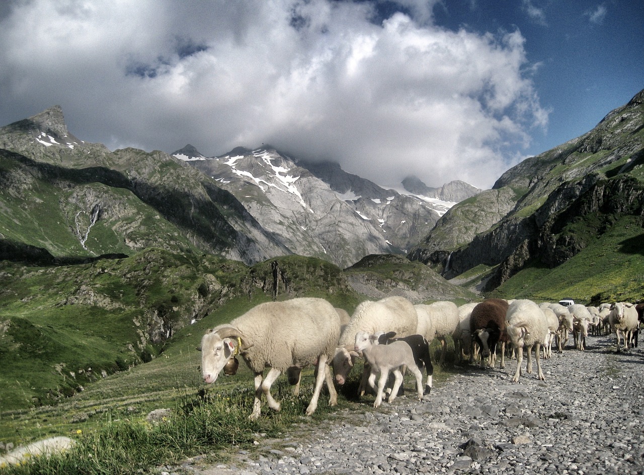 pyrenees gr10 petit vignemale free photo