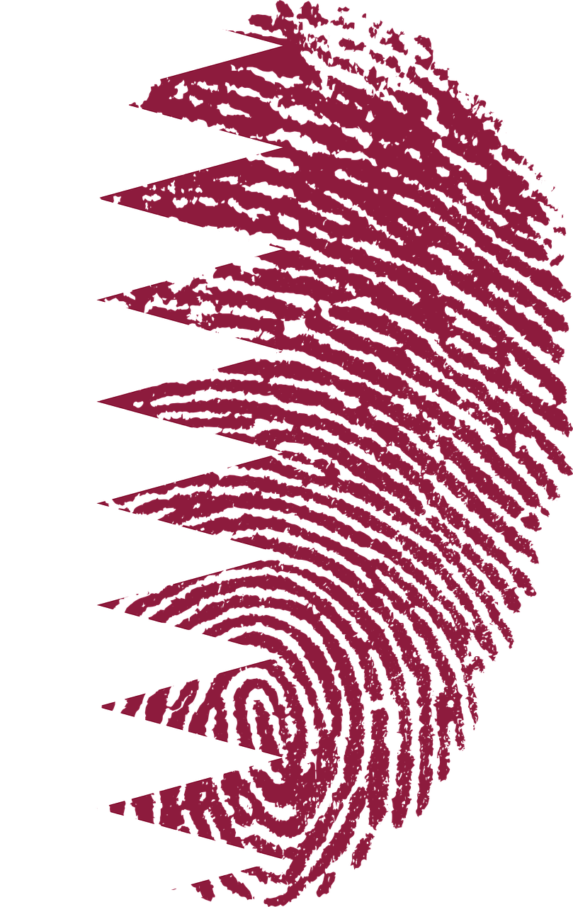 qatar flag fingerprint free photo