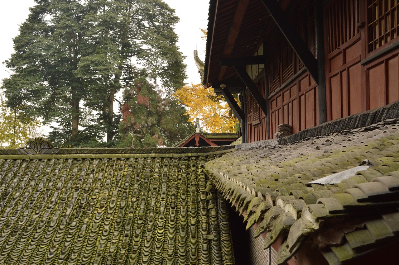 qingcheng mountain moss tile-roofed house free photo