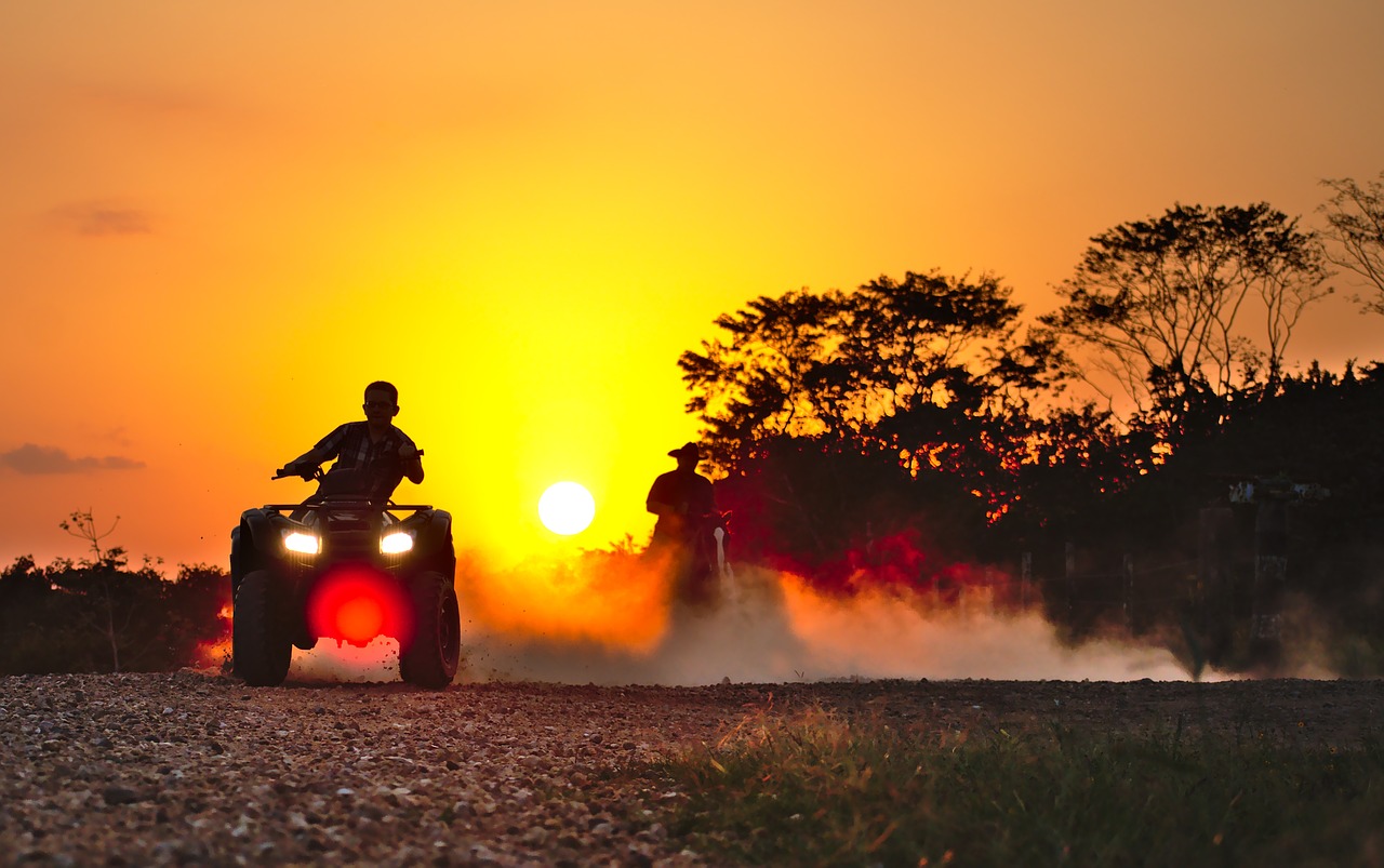 quad drift dust horse free photo