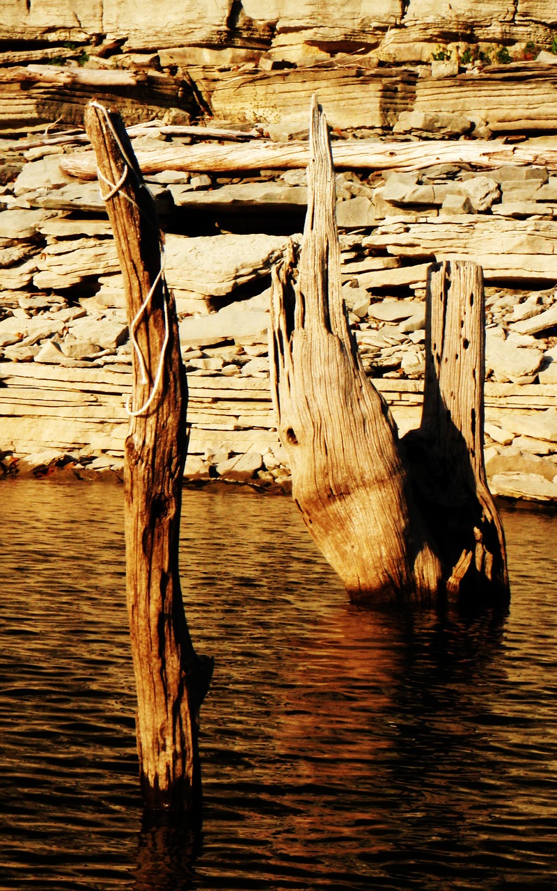 quarry stump water free photo