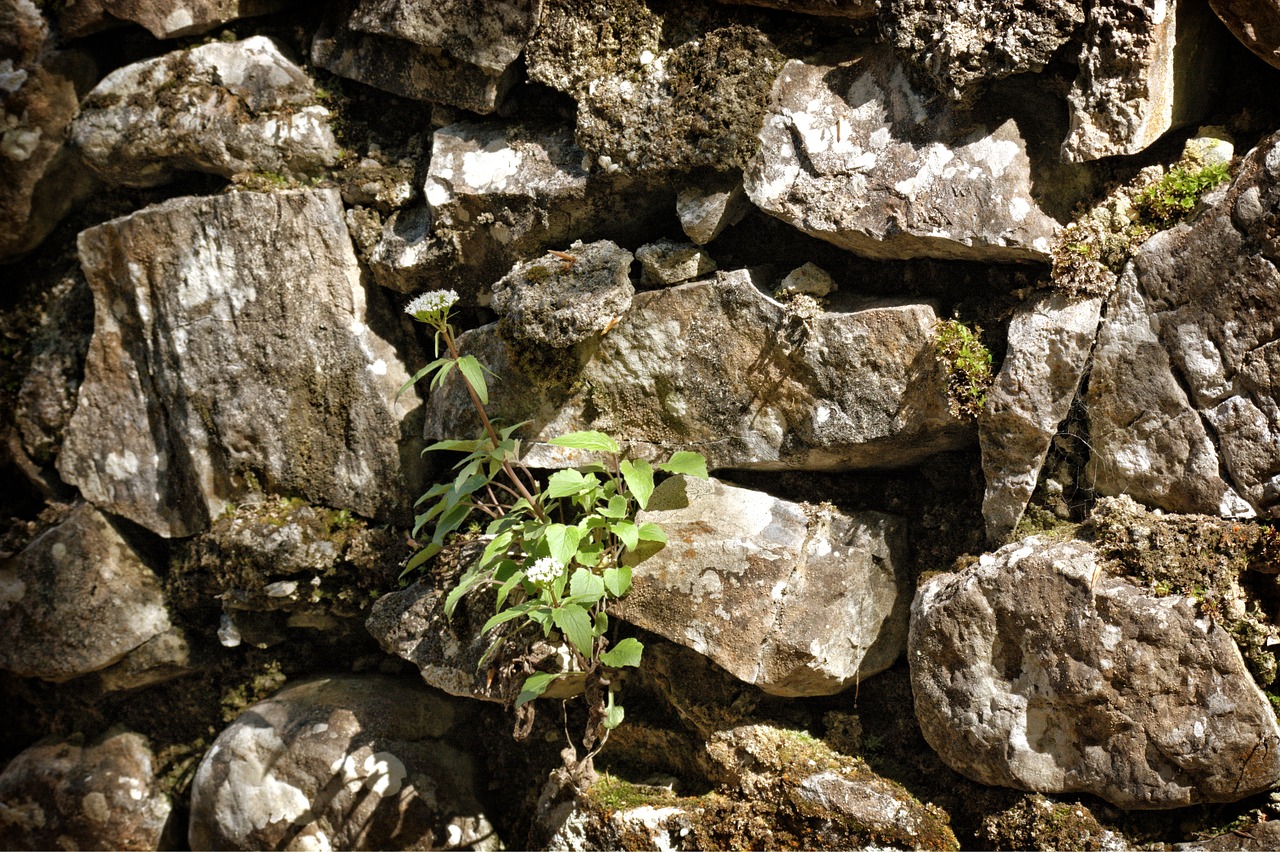 quarry stone wall texture free photo