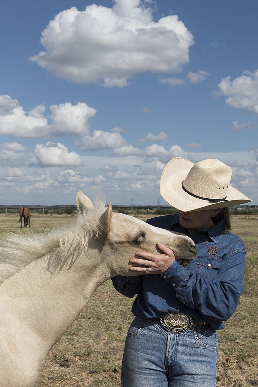quarter horse colt cowgirl free photo