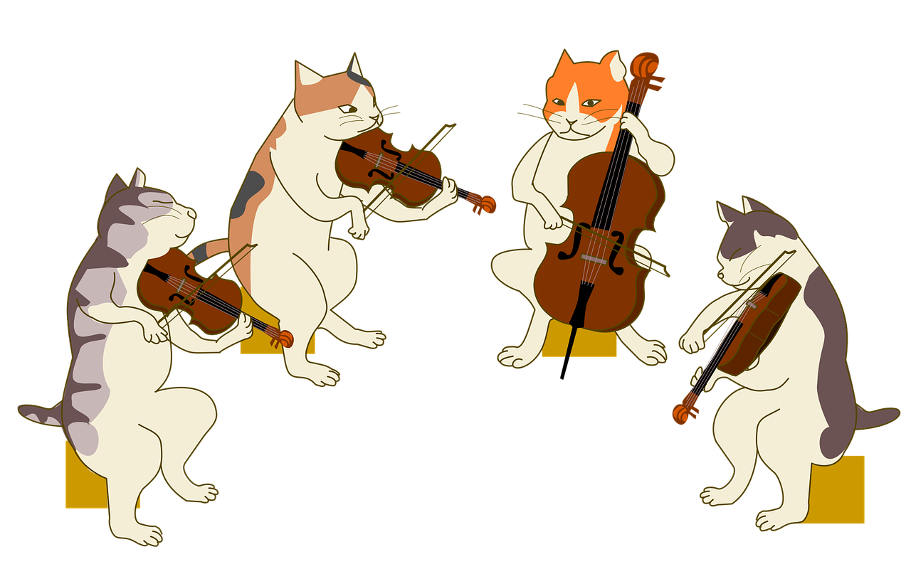 quartet cat violin free photo