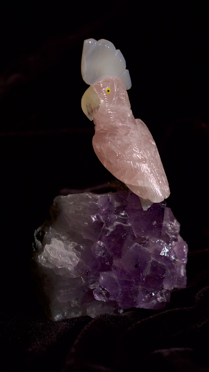 quartz parrot crystal free photo