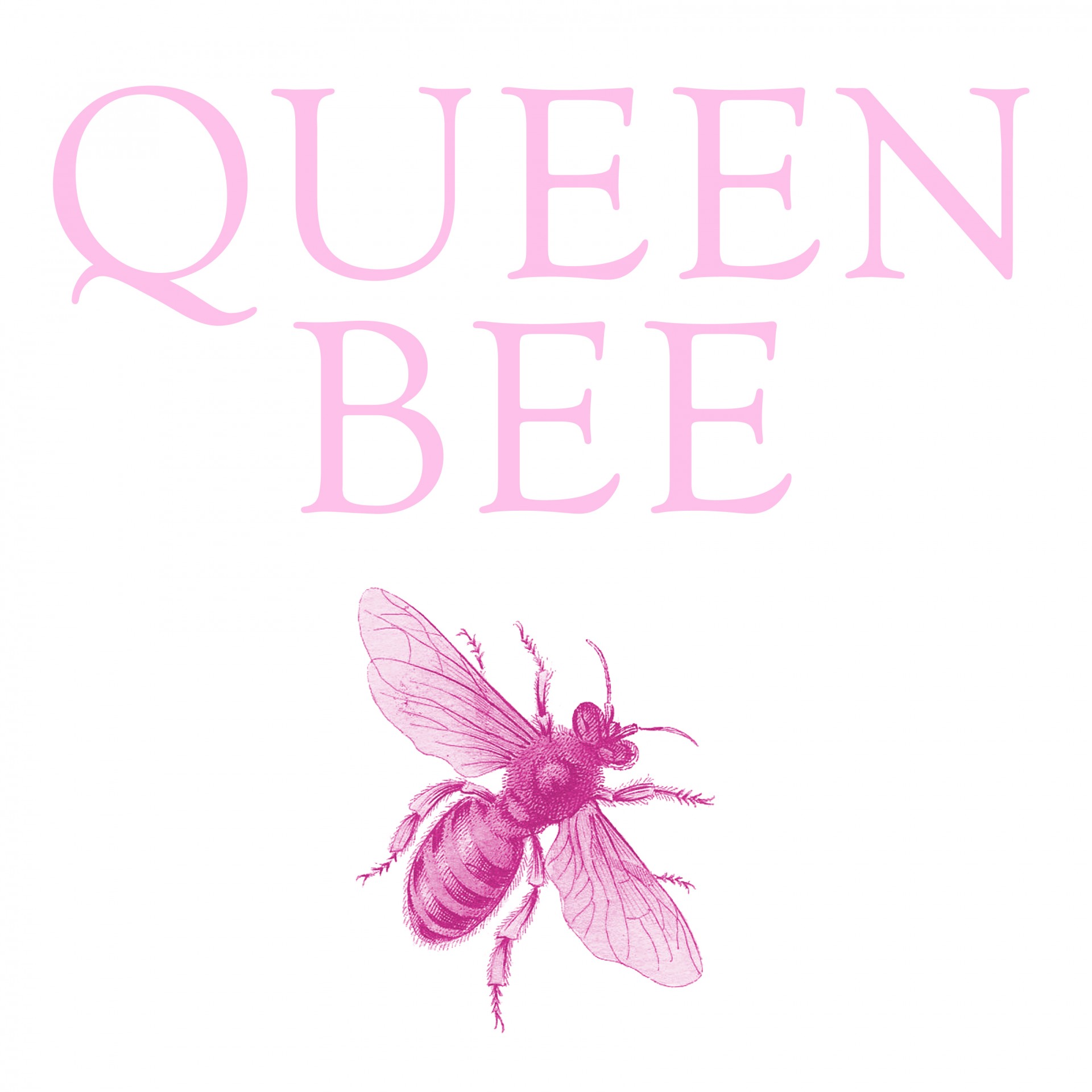 queen bee bee text free photo