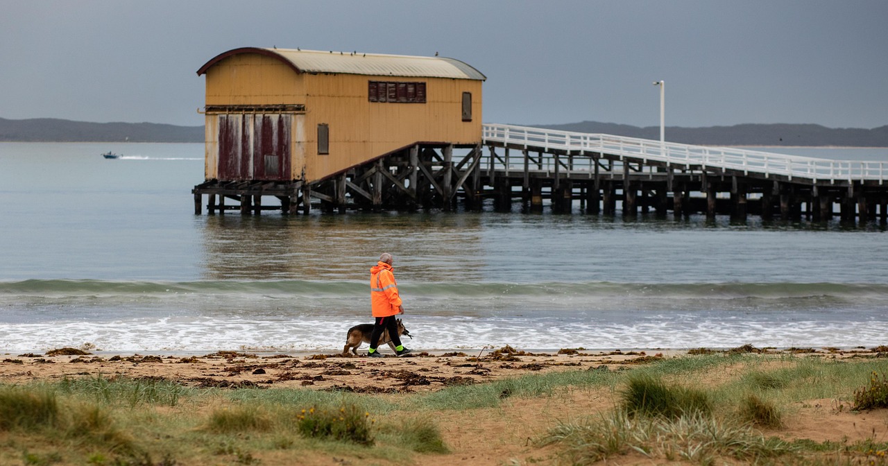 queenscliff  boat shed  walk free photo