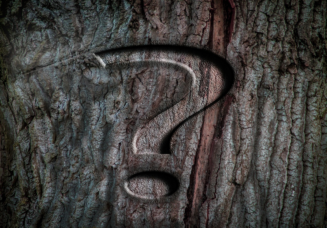 question mark punctuation marks alphabet free photo