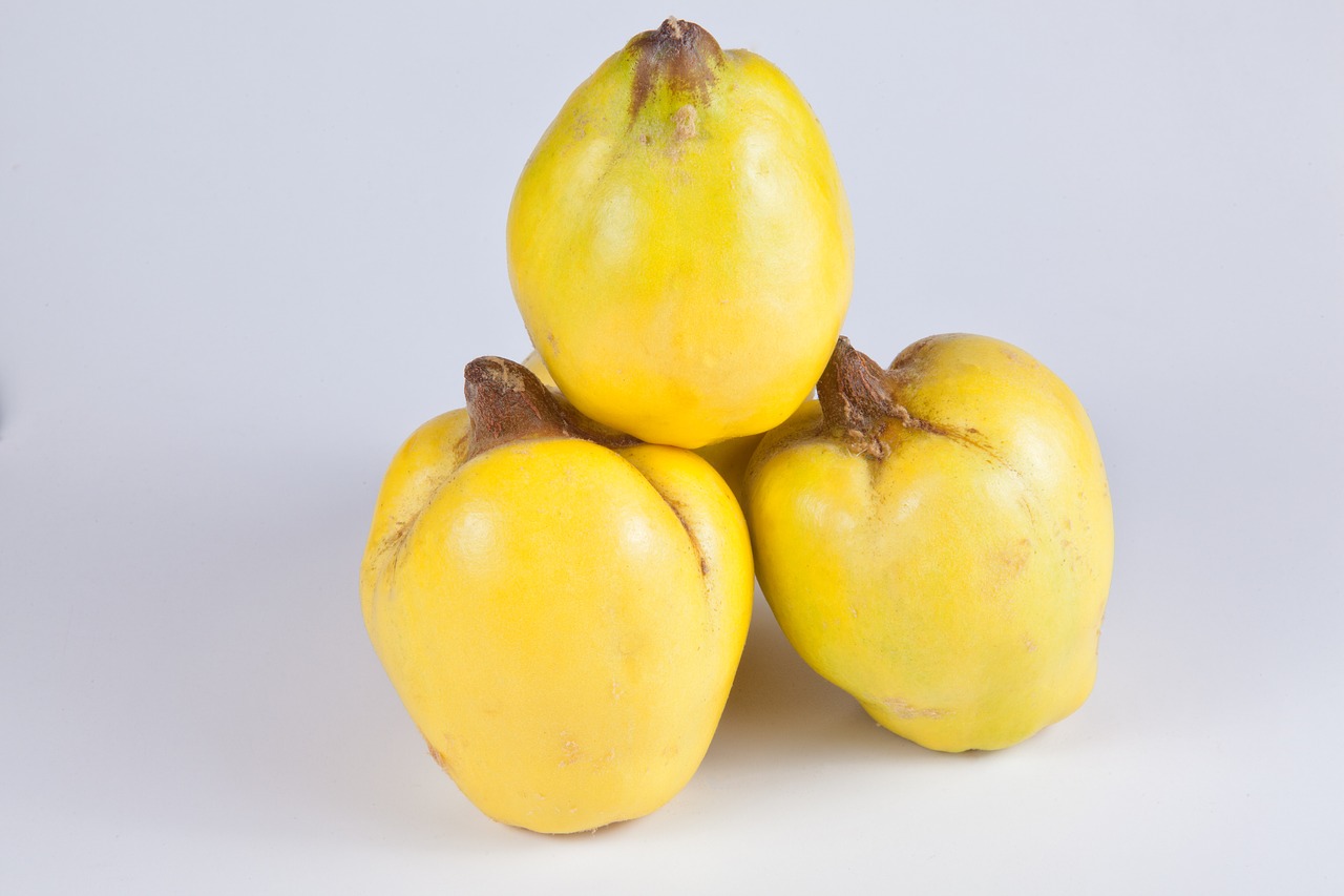 quince yellow fruits free photo
