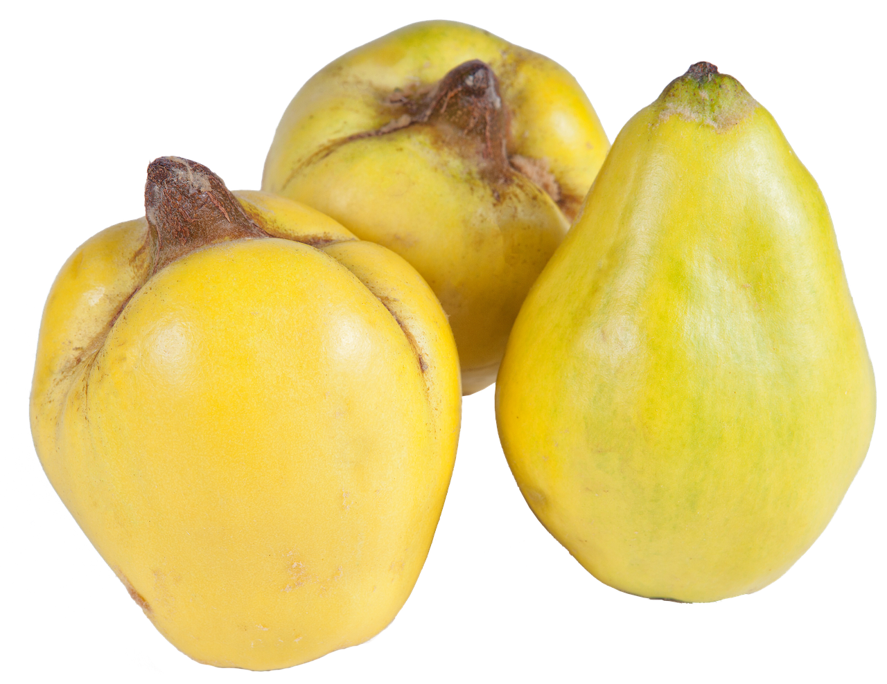 quince isolated fruit free photo