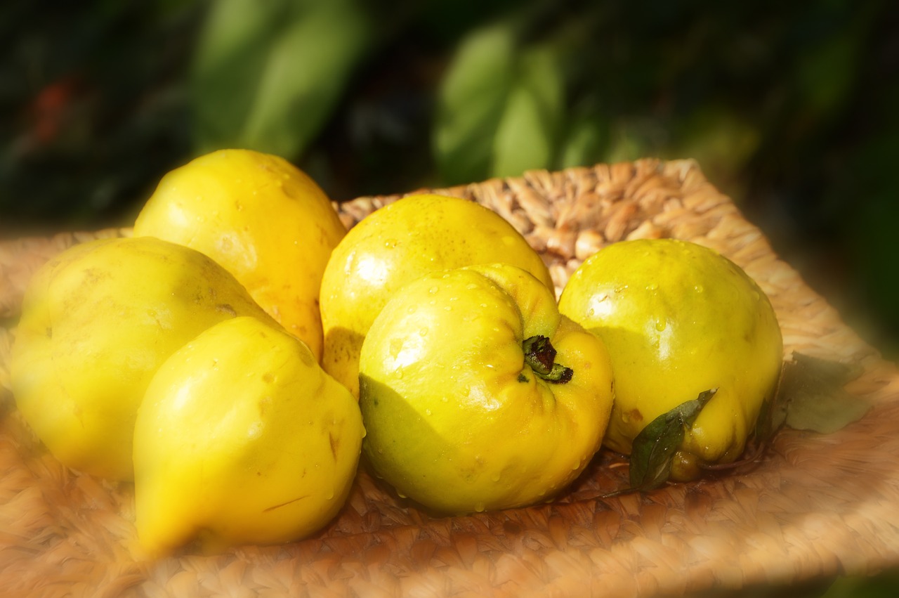 quince  fruit  yellow free photo