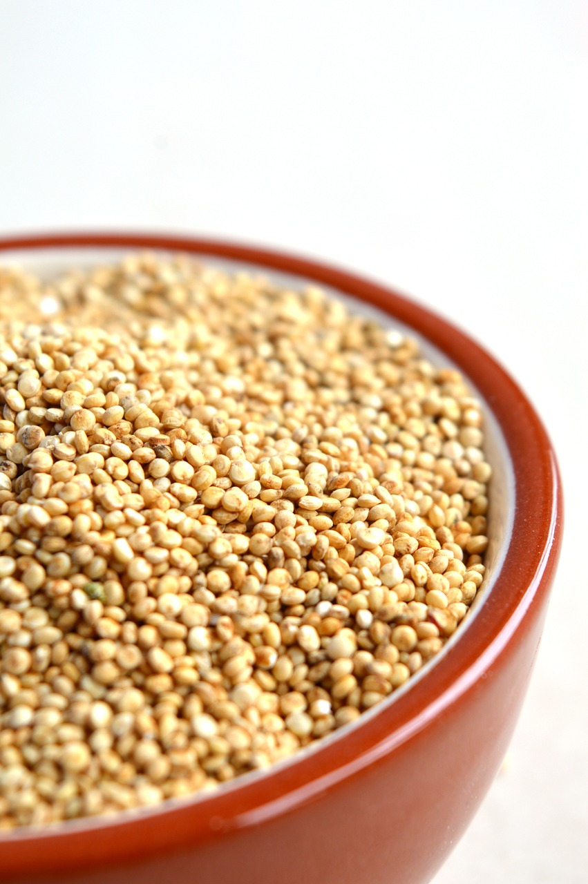quinoa bowl grain free photo