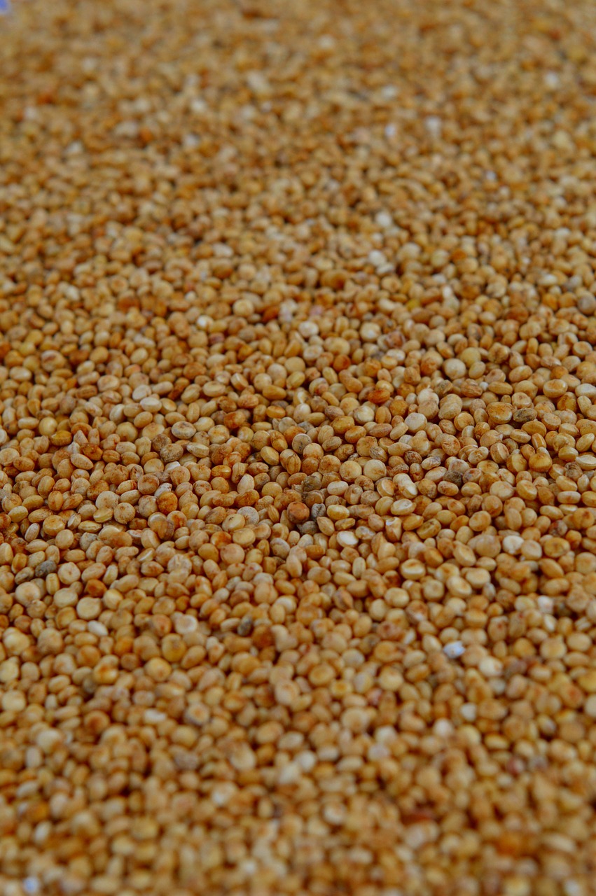 quinoa plenty cereal free photo
