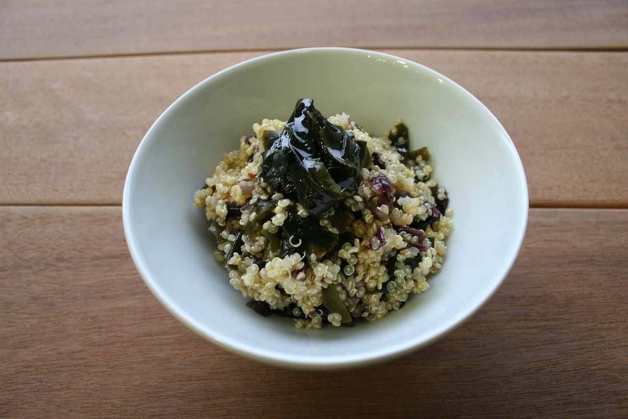 quinoa algae healthy food free photo