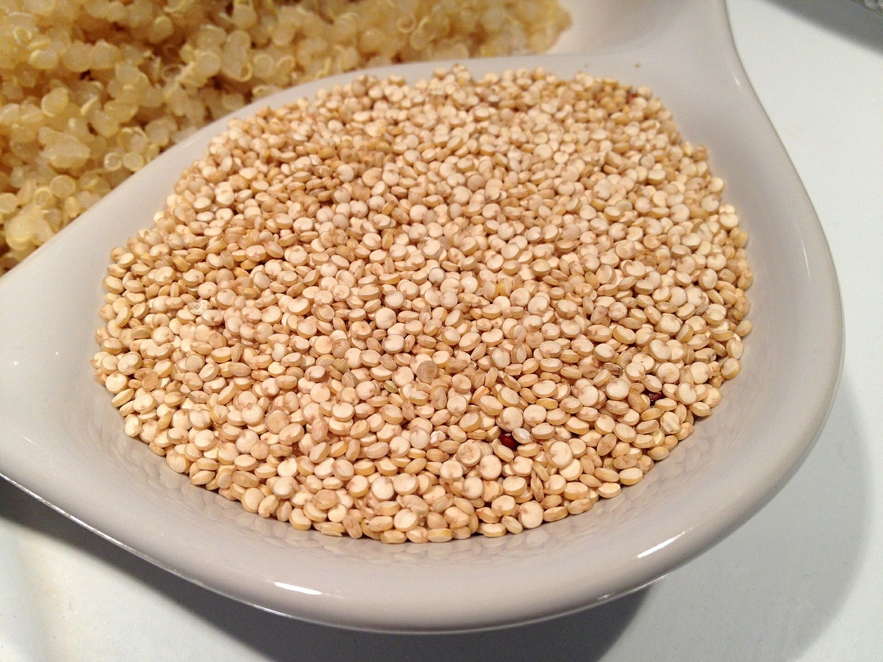 quinoa grain seed free photo
