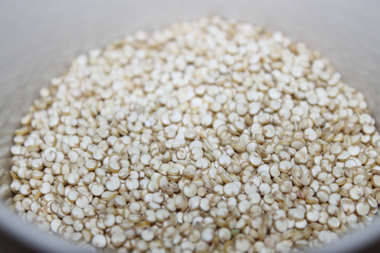 quinoa grains seeds free photo