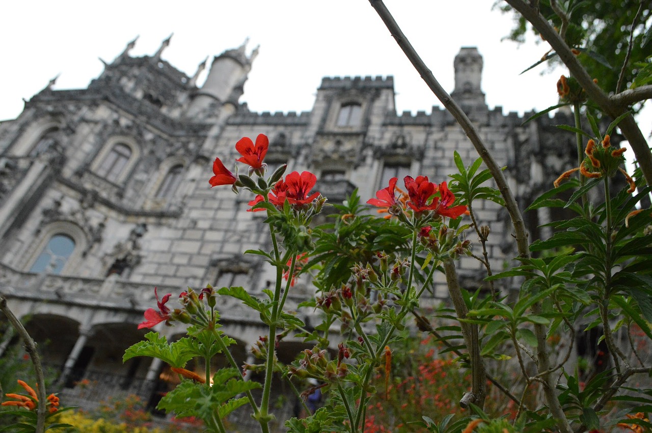 quinta da regaleira sintra portugal free photo