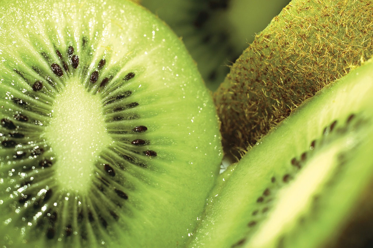 quiui kiwi brazilian fruit free photo