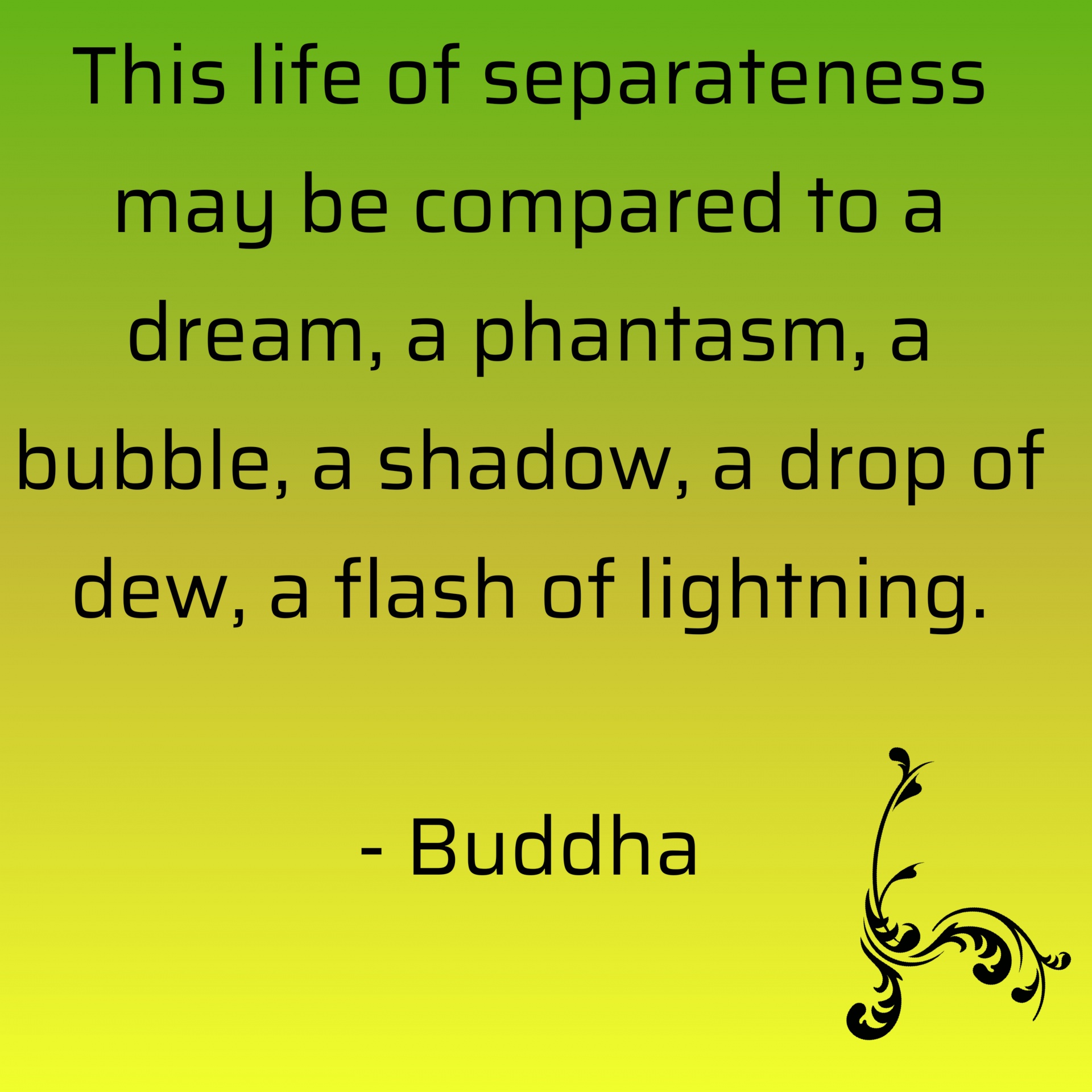 quote life buddha free photo