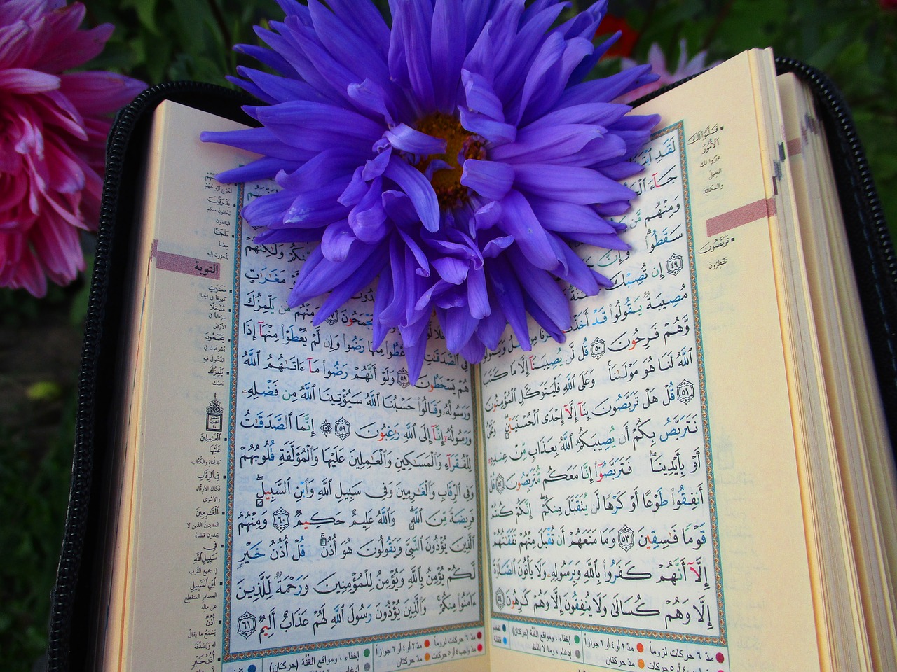 quran  shrine  scripture free photo