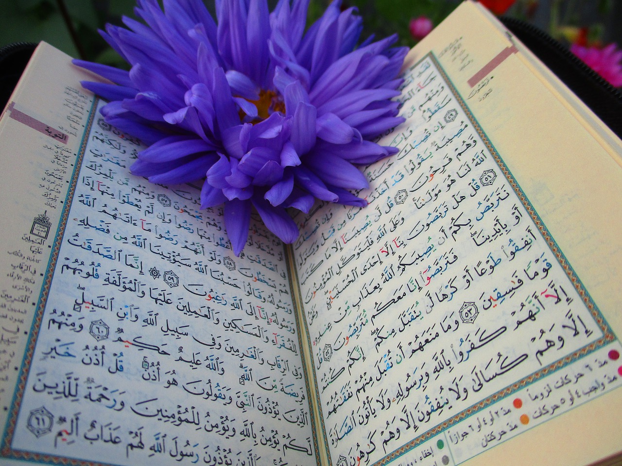 quran  shrine  scripture free photo