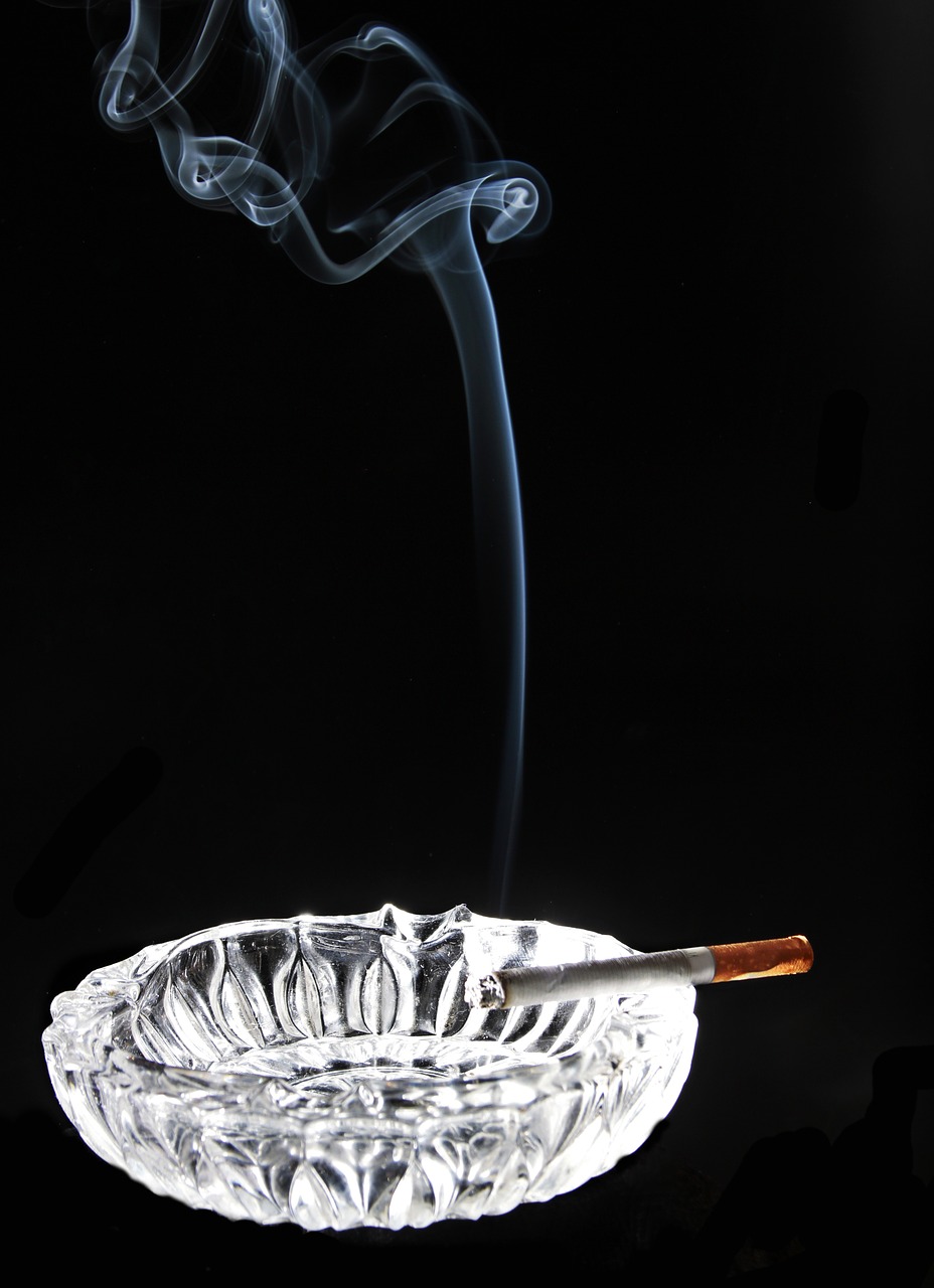 ashtray smoking smoke free photo