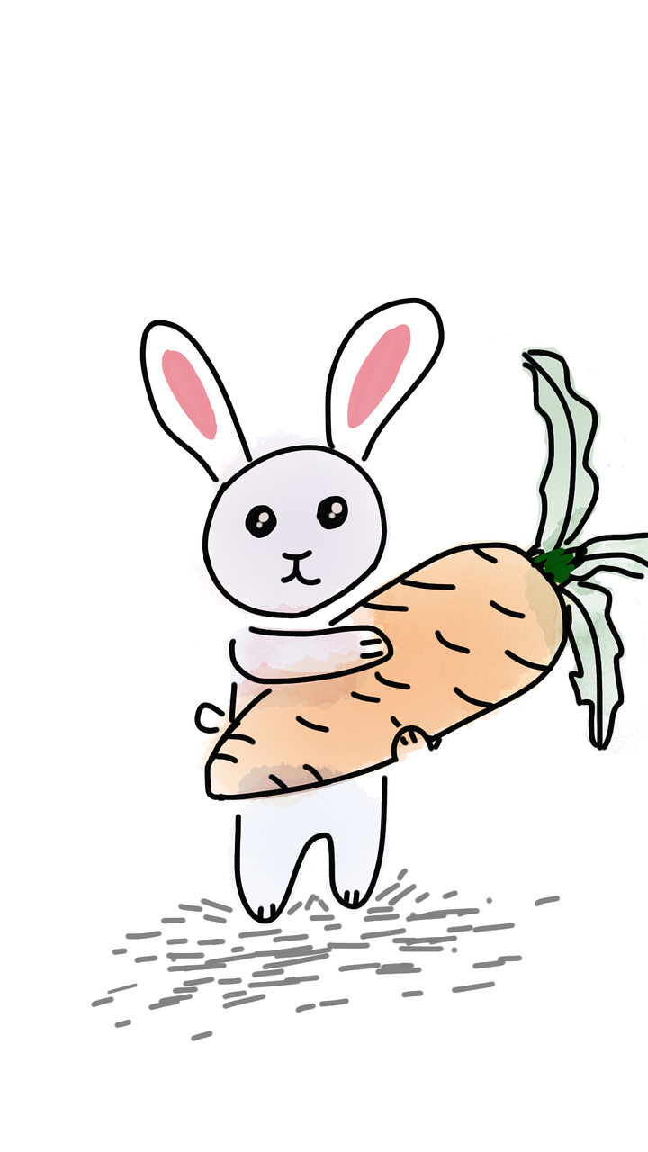 rabbit carrot big carrot free photo