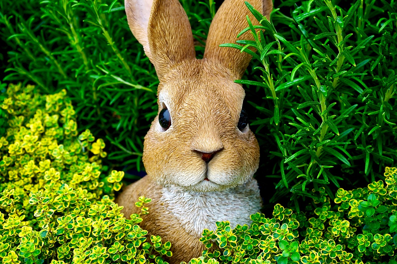 rabbit easter bunny free photo