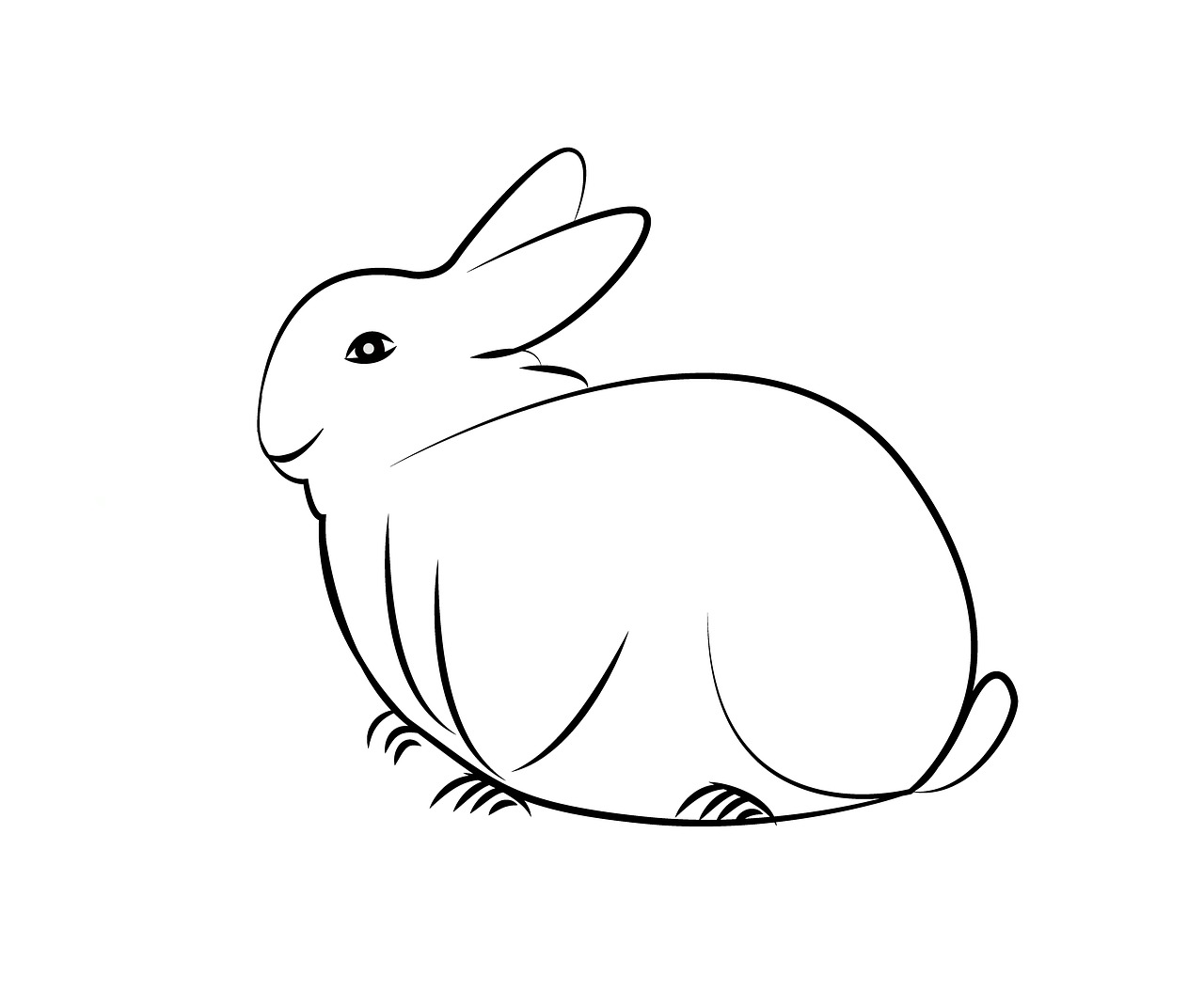 rabbit animal sketch free photo
