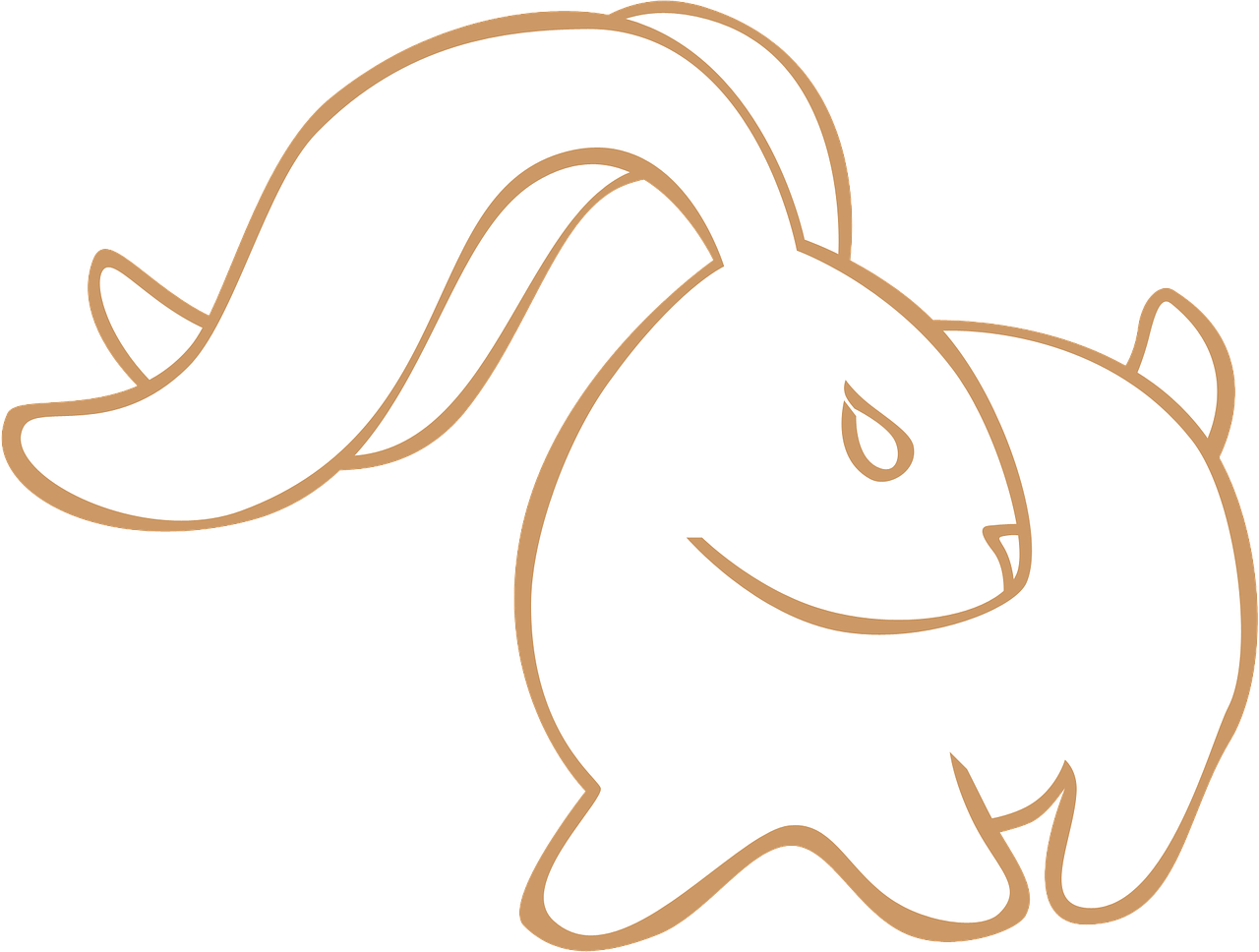rabbit hare white free photo