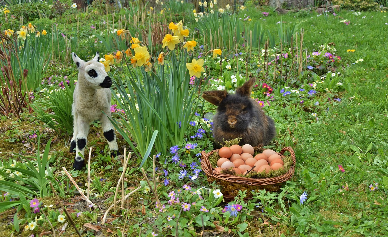 rabbit easter easter bunny free photo