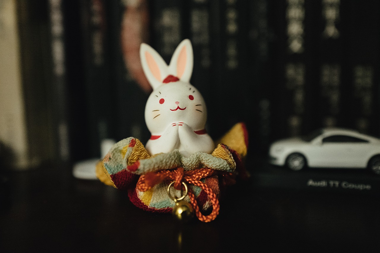 rabbit small objects still life free photo