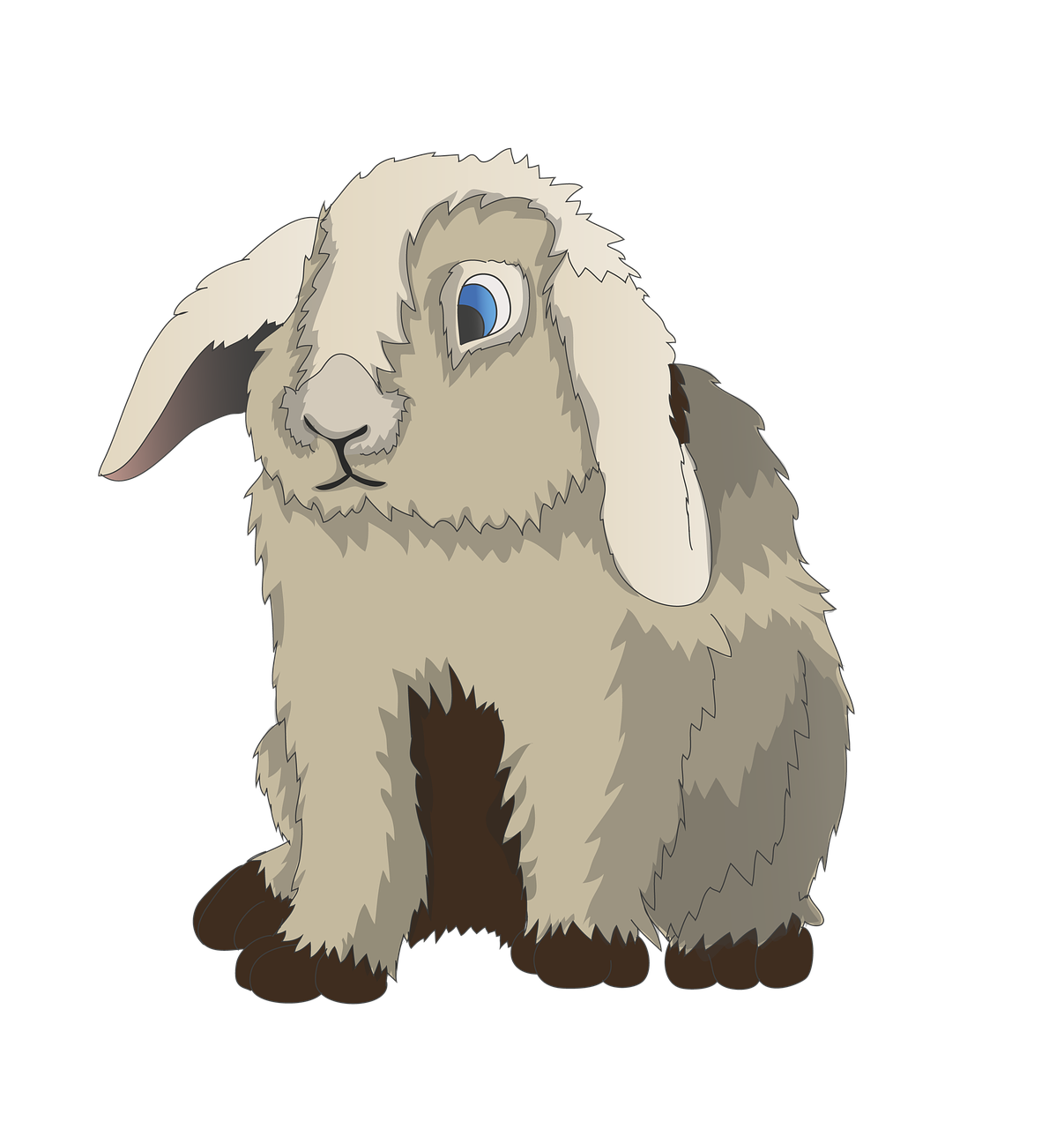 rabbit  hare  munchkins free photo