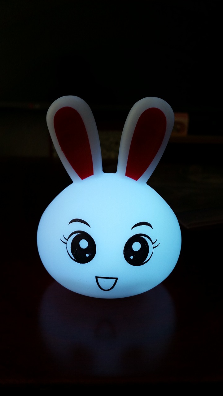 rabbit  lighting  toy free photo