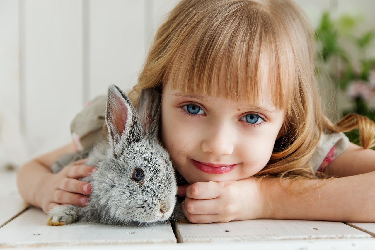 rabbit  hare  baby free photo